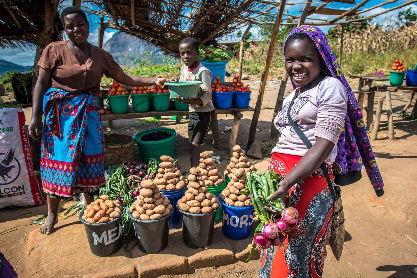 Malawi Website 2020-3