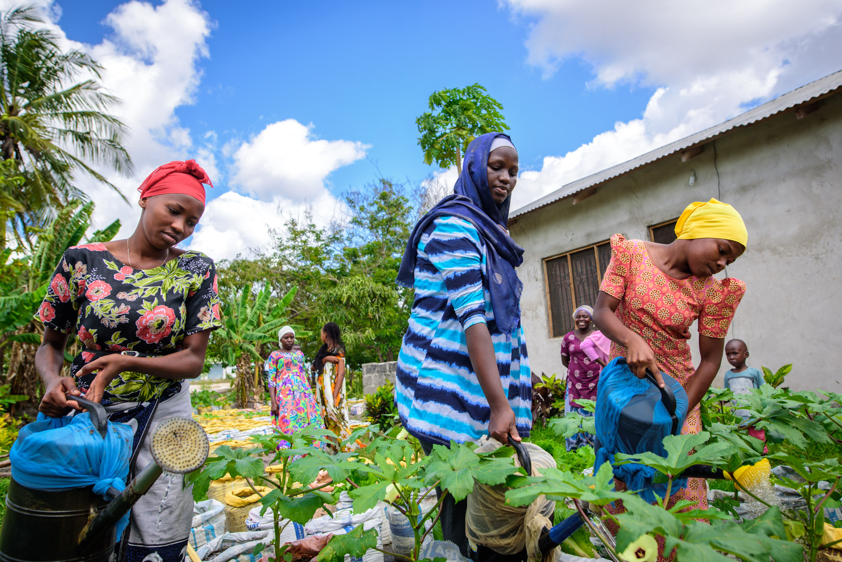 Women pouring water to plants