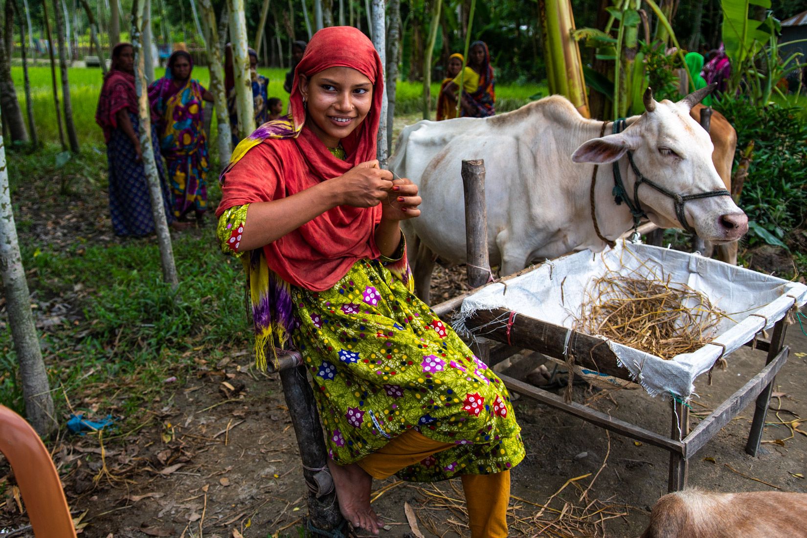 ZZ Bangladesh CBM-14