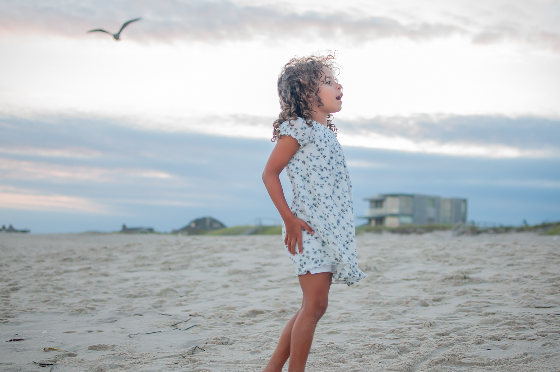 Hamptons Sandell family-11