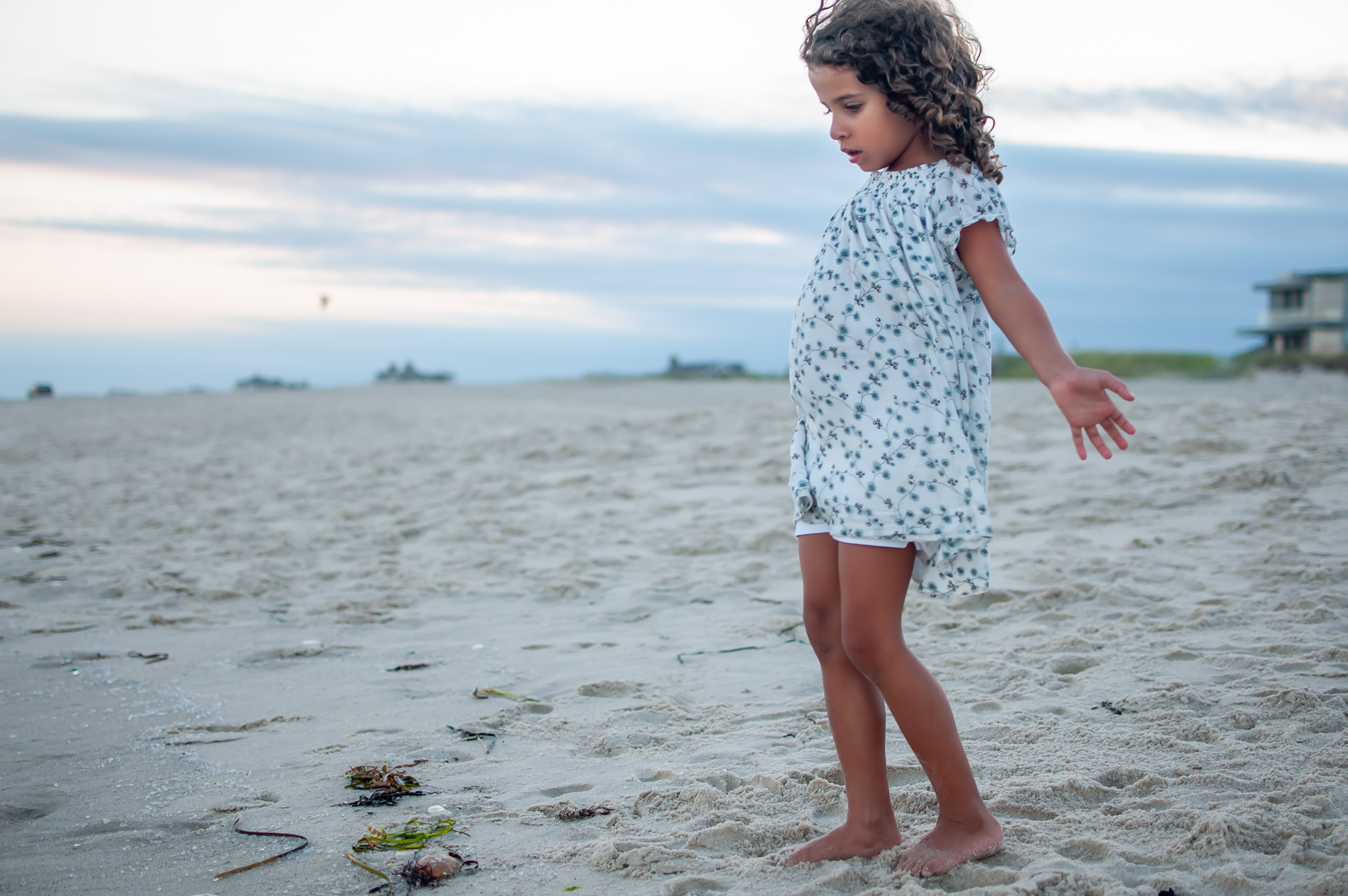 Hamptons Sandell family-15