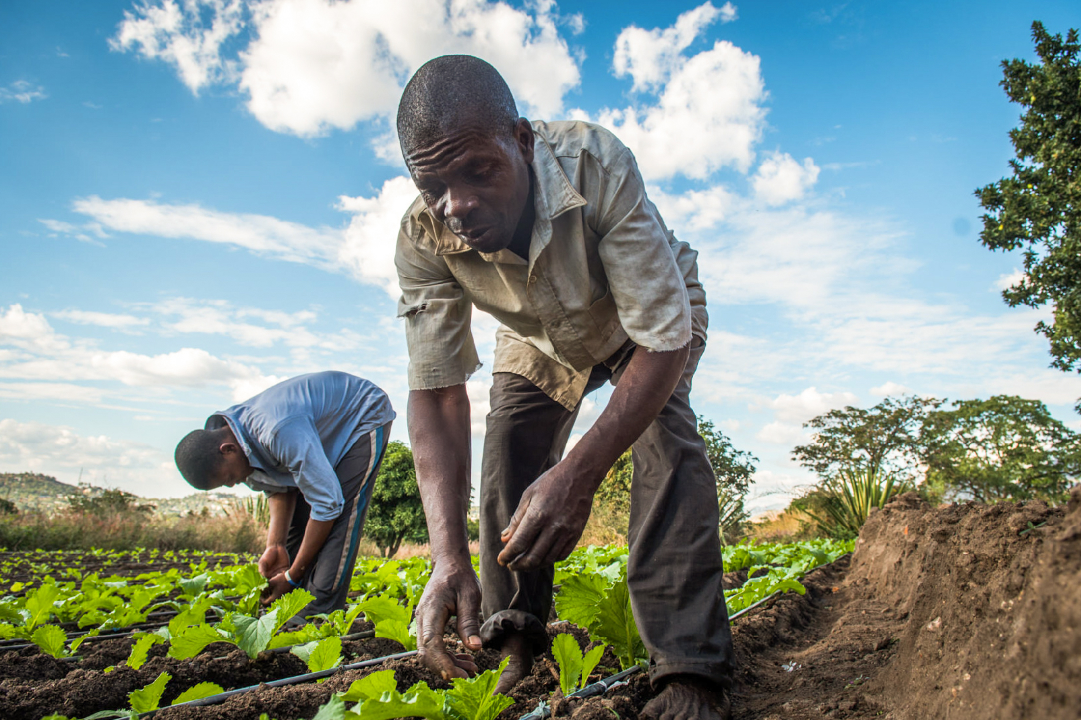 GBELL_Portfolio Humanitarean website 2021-19