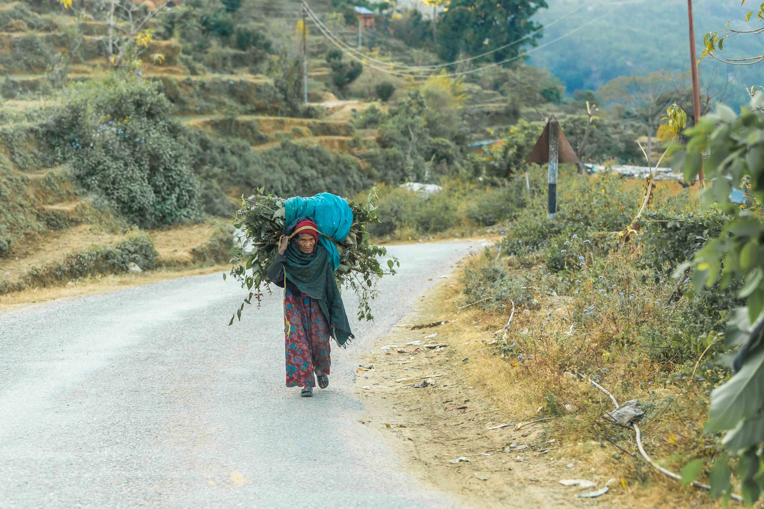 Photos taken during the trip while travelling by car.