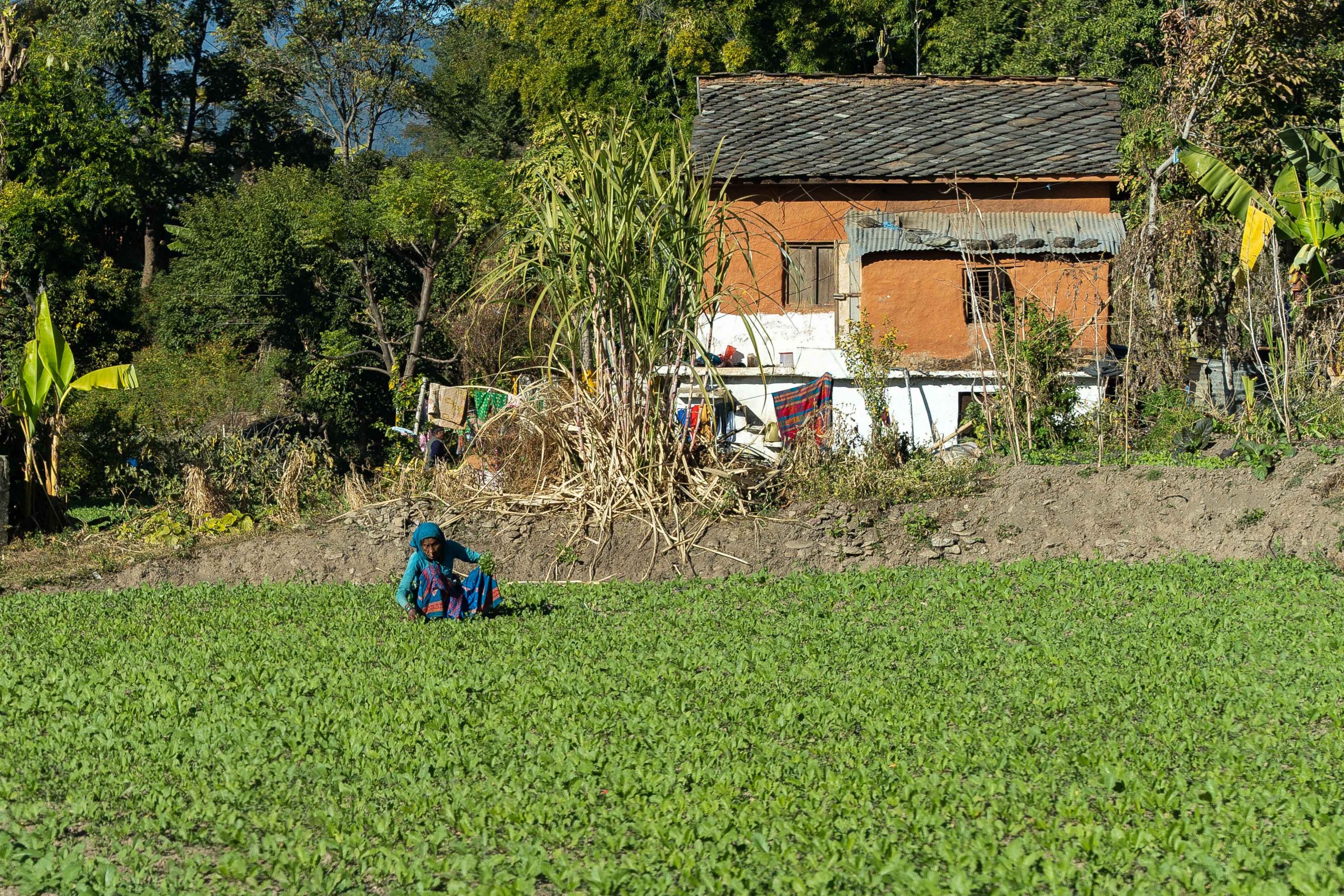 Photos taken during the trip while travelling by car.
