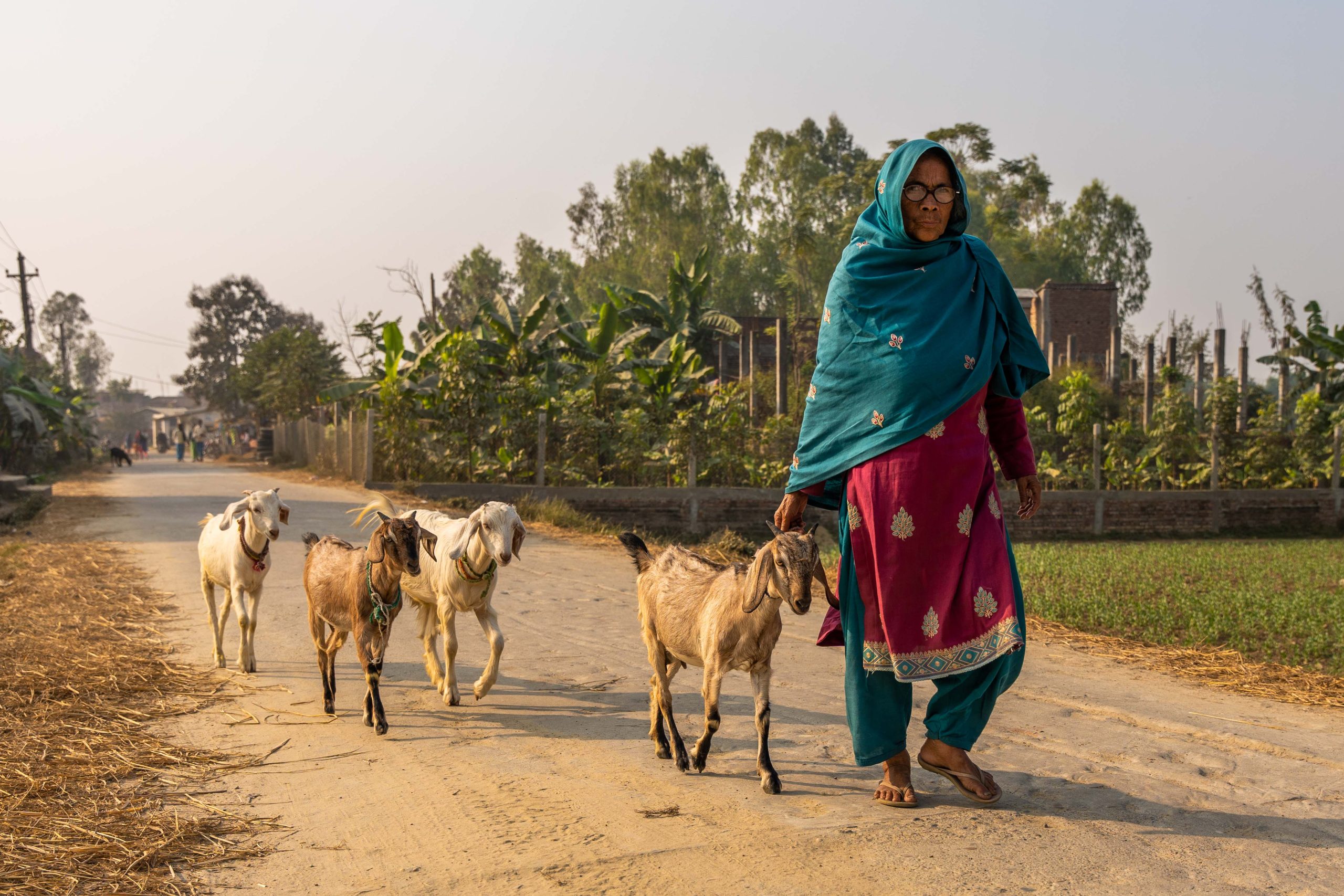 Photos taken during the trip while travelling by car.