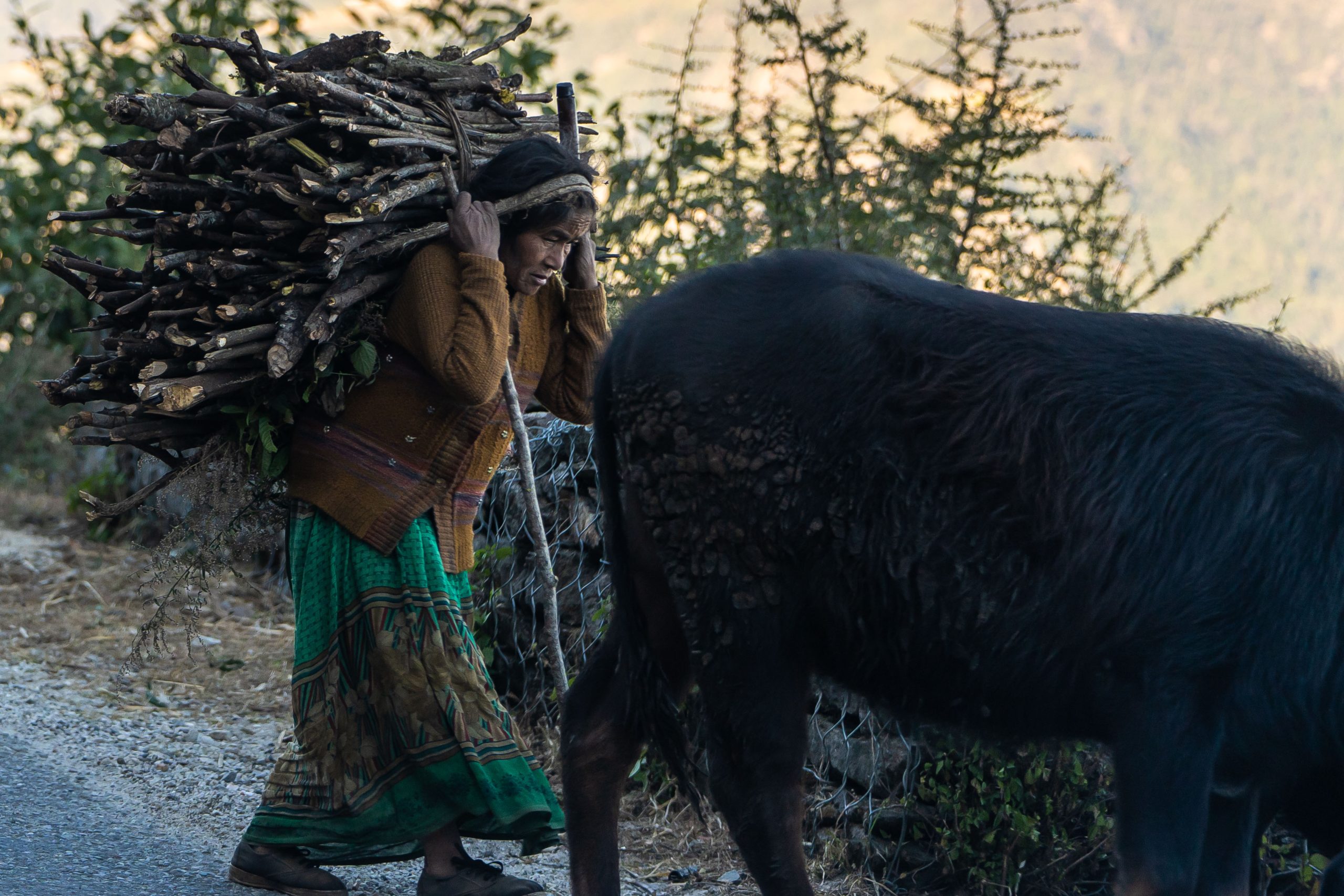 Photos taken during the trip while travelling by car.