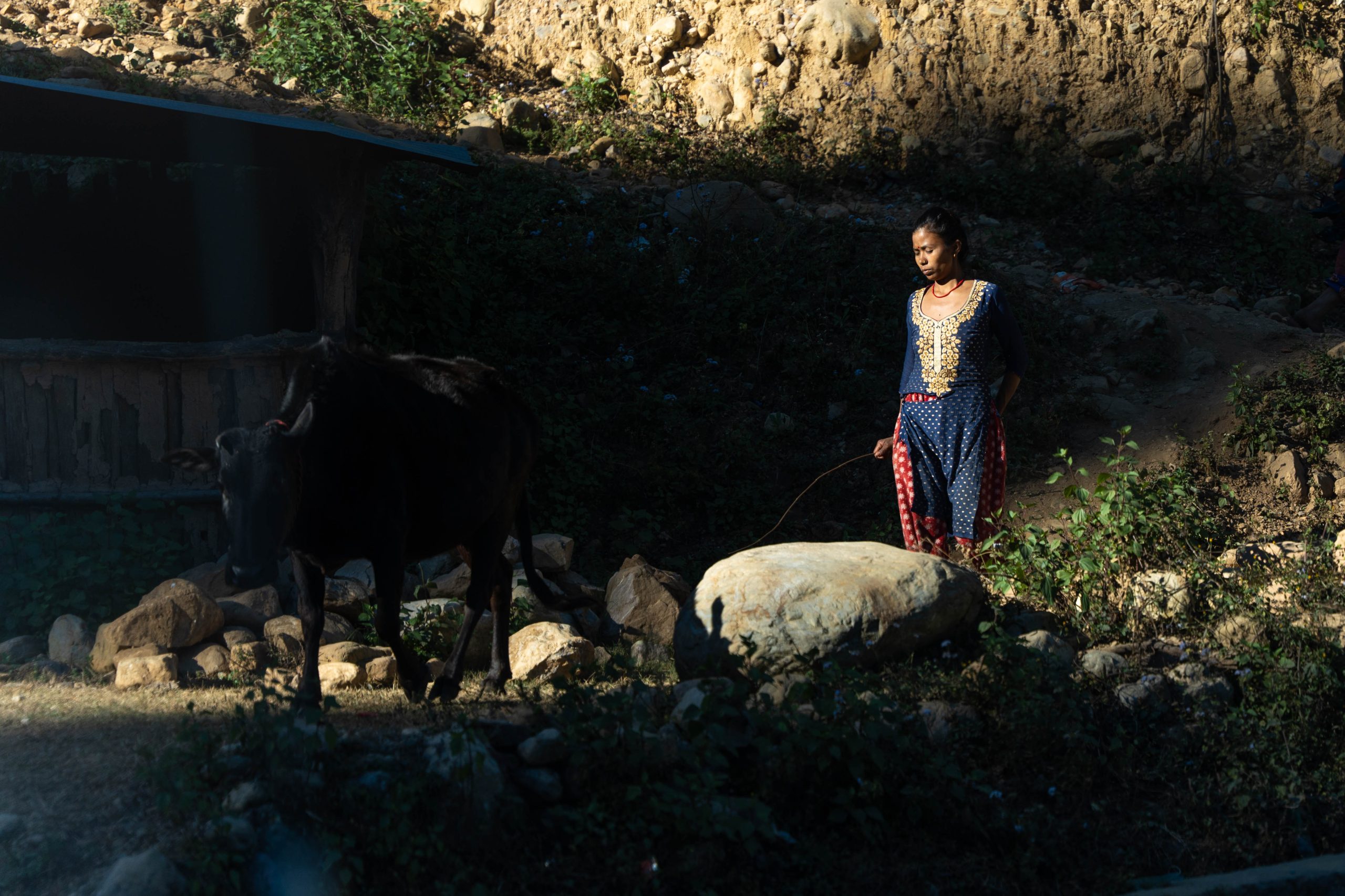 Photos taken during the trip while travelling by car.